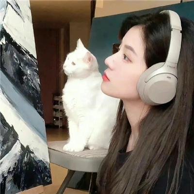 刘少奇的故事